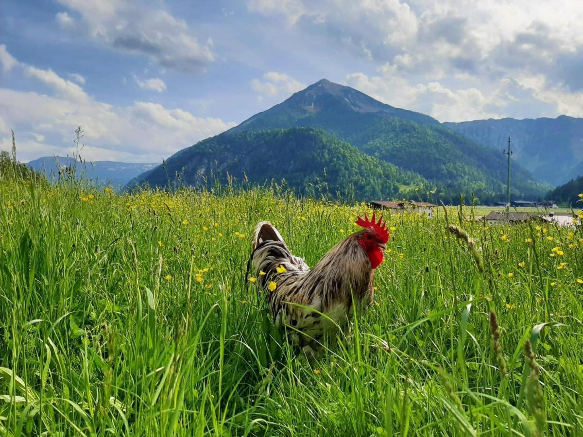 Pulvererhof Ахенкирьх Экстерьер фото
