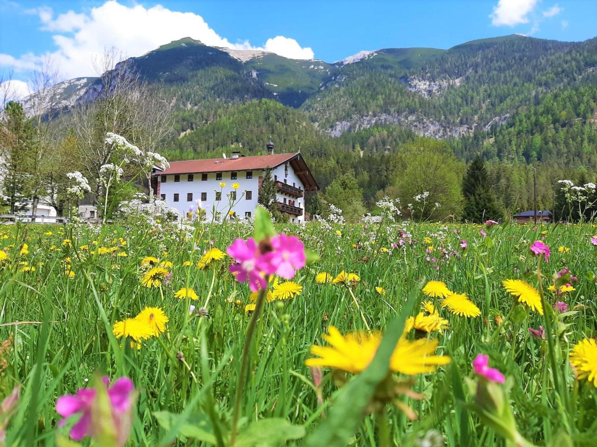 Pulvererhof Ахенкирьх Экстерьер фото